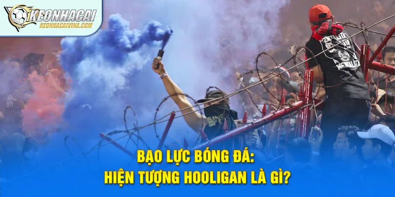 Bạo Lực Bóng Đá: Hiện Tượng Hooligan Là Gì?
