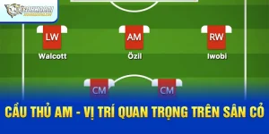 Cầu Thủ AM Là Ai? Vị Trí Quan Trọng Trên Sân Cỏ