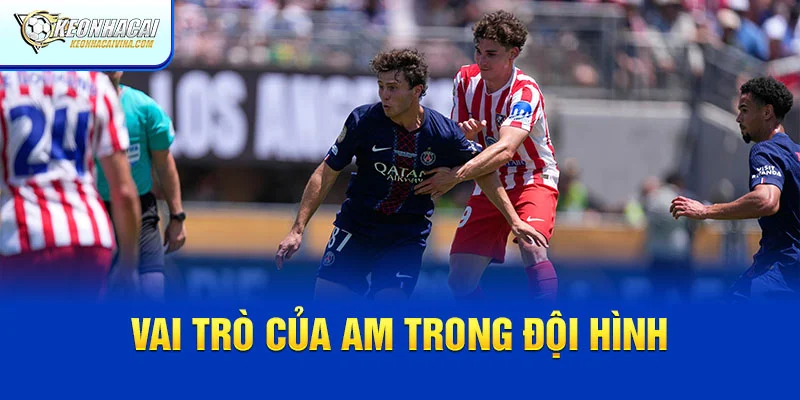 Vai trò của cầu thủ AM trong đội hình