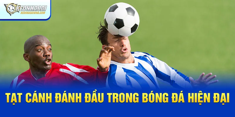 Tạt Cánh Đánh Đầu - Cách Ứng Dụng Trong Bóng Đá Hiện Đại