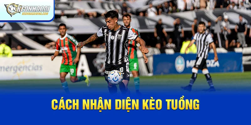 Cách nhận diện kèo tuồng
