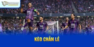 Hiểu Kèo Chẵn Lẻ - Cách Chơi Và Mẹo Thắng Nhà Cái