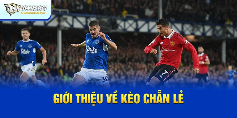 Giới thiệu về kèo chẵn lẻ