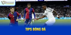 Tips Bóng Đá: Các Loại Và Cách Dùng Hiệu Quả Trong Cá Cược