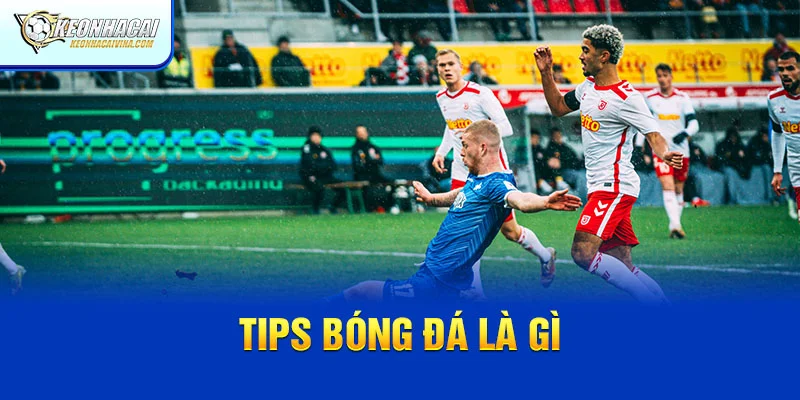 Tips bóng đá là gì