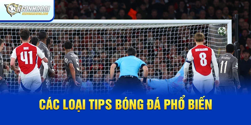 Các loại tips bóng đá phổ biến